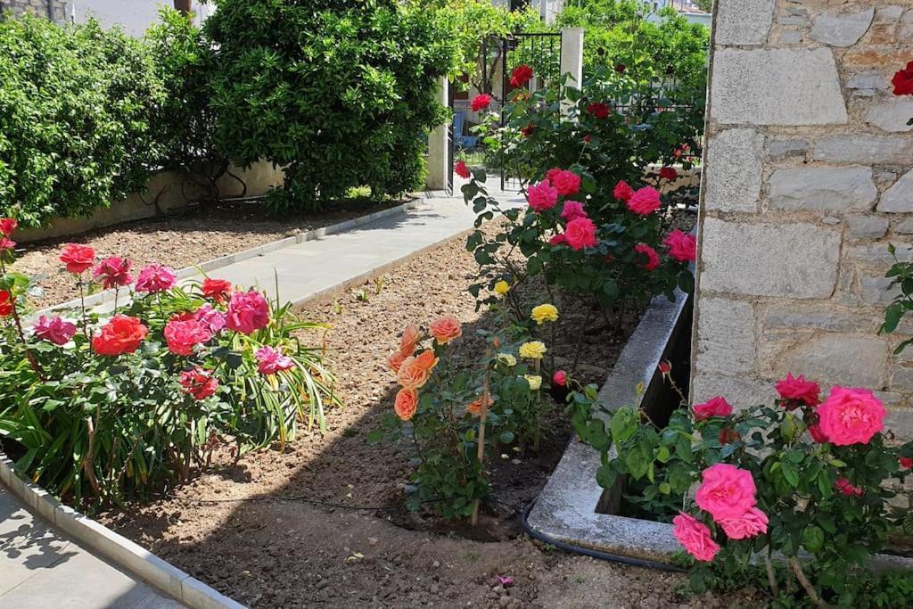 Zmas Studios خورتو المظهر الخارجي الصورة